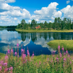 Helping Clients Heal from Trauma: Solution-focused Approach